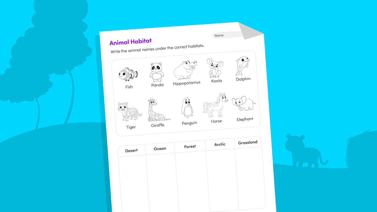 Forest ocean desert habitats worksheet printable