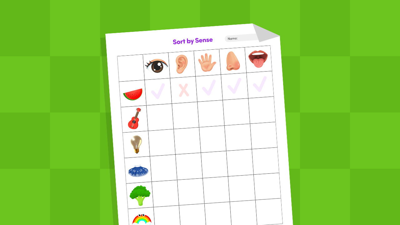 Five Senses Worksheet for Kids