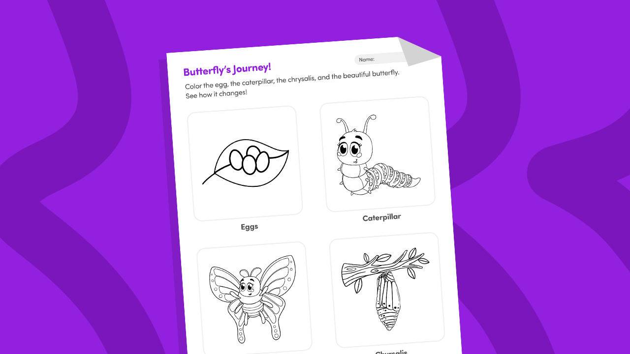 Butterfly life cycle cut and paste worksheet printable