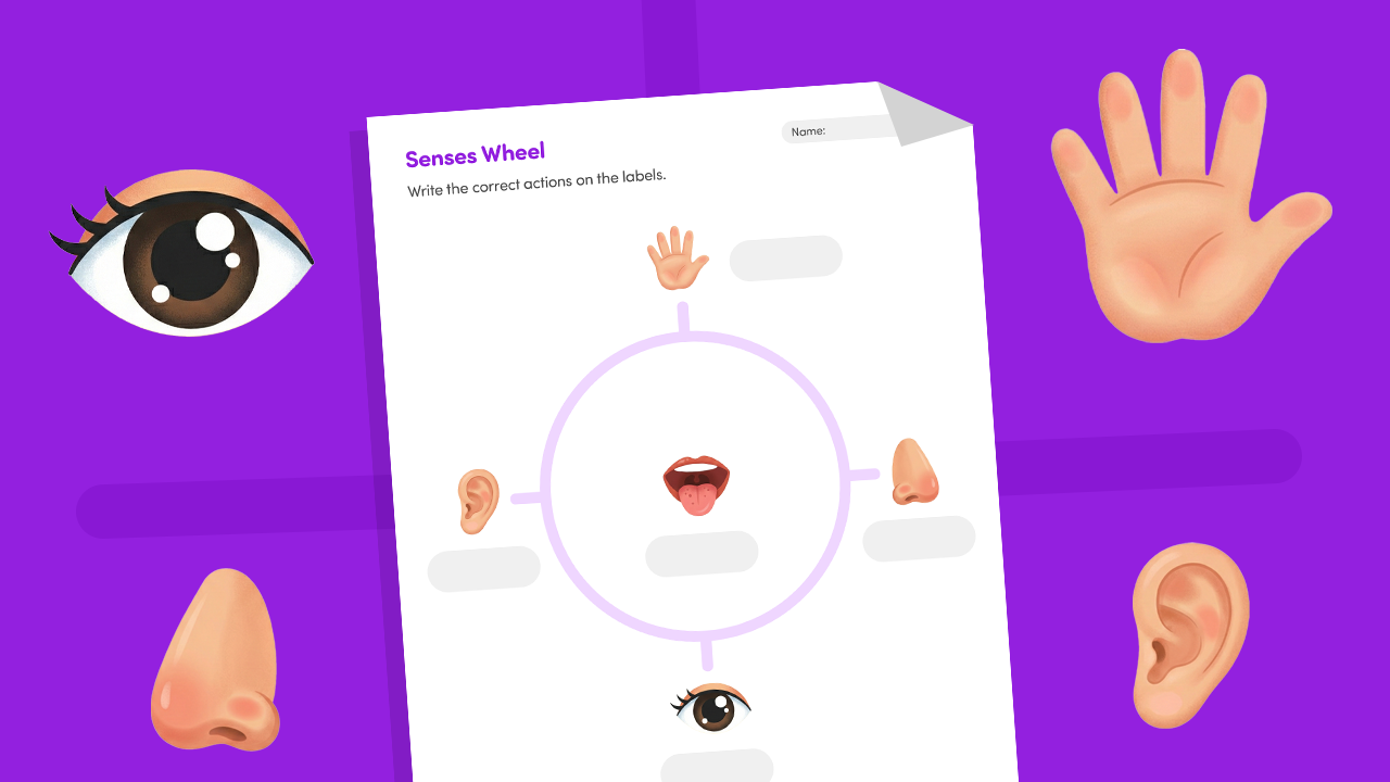 Five senses wheel worksheet for kids showing sight, hearing, smell, taste, and touch sections to color and assemble.