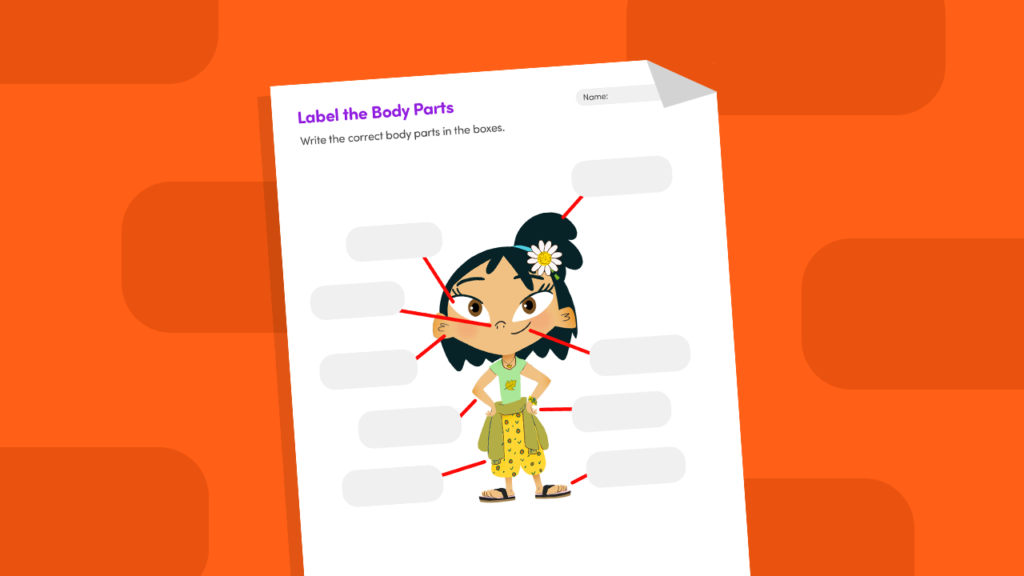 Label Body Parts Worksheet for Kids | Free Printable PDF