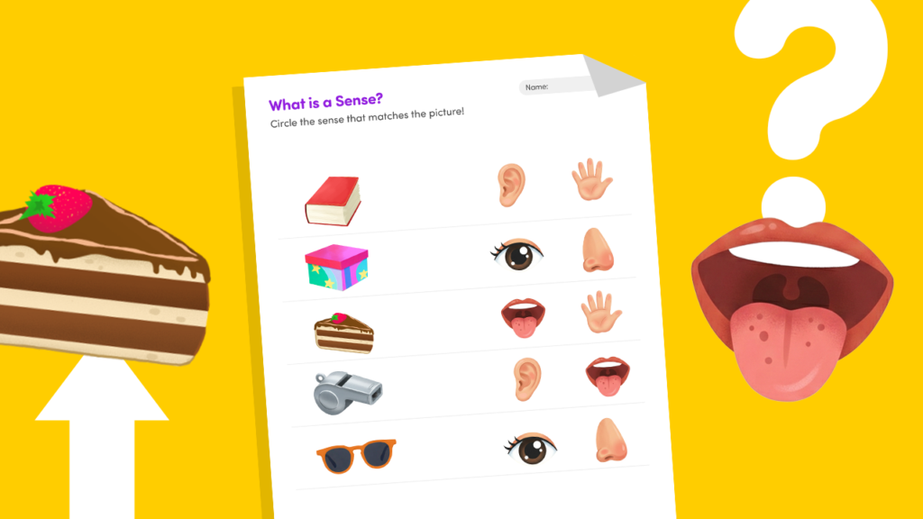 What Is a Sense? | Worksheet for Preschool Kids
