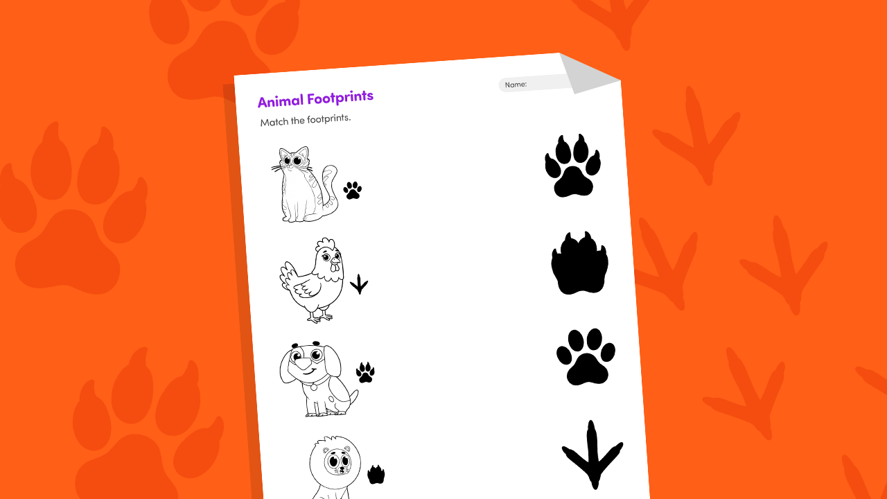 Animal tracks match footprint to animal worksheet printable for kids