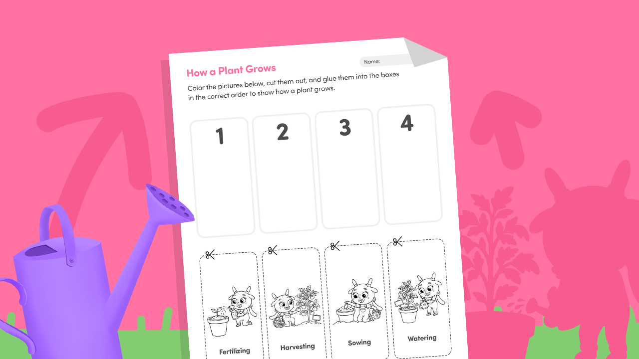 Sequencing plant growth worksheet printable for kids