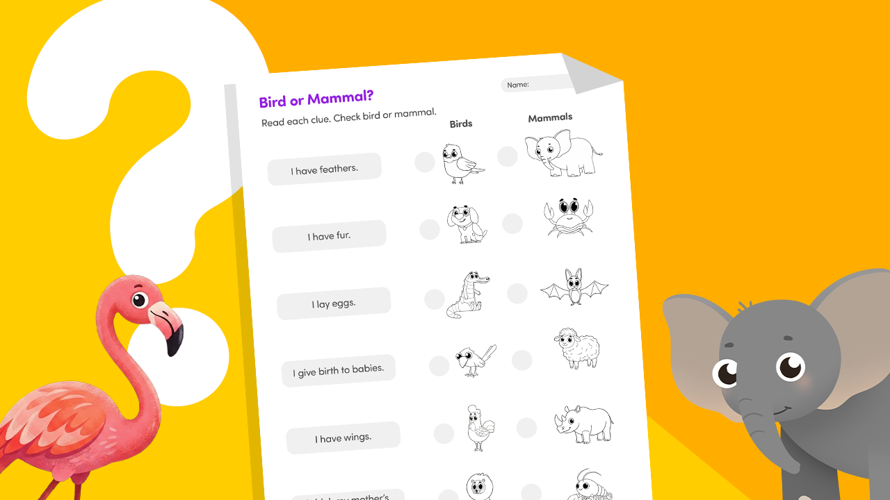 Bird vs mammal feathers and fur classification sorting worksheet for Kindergarten