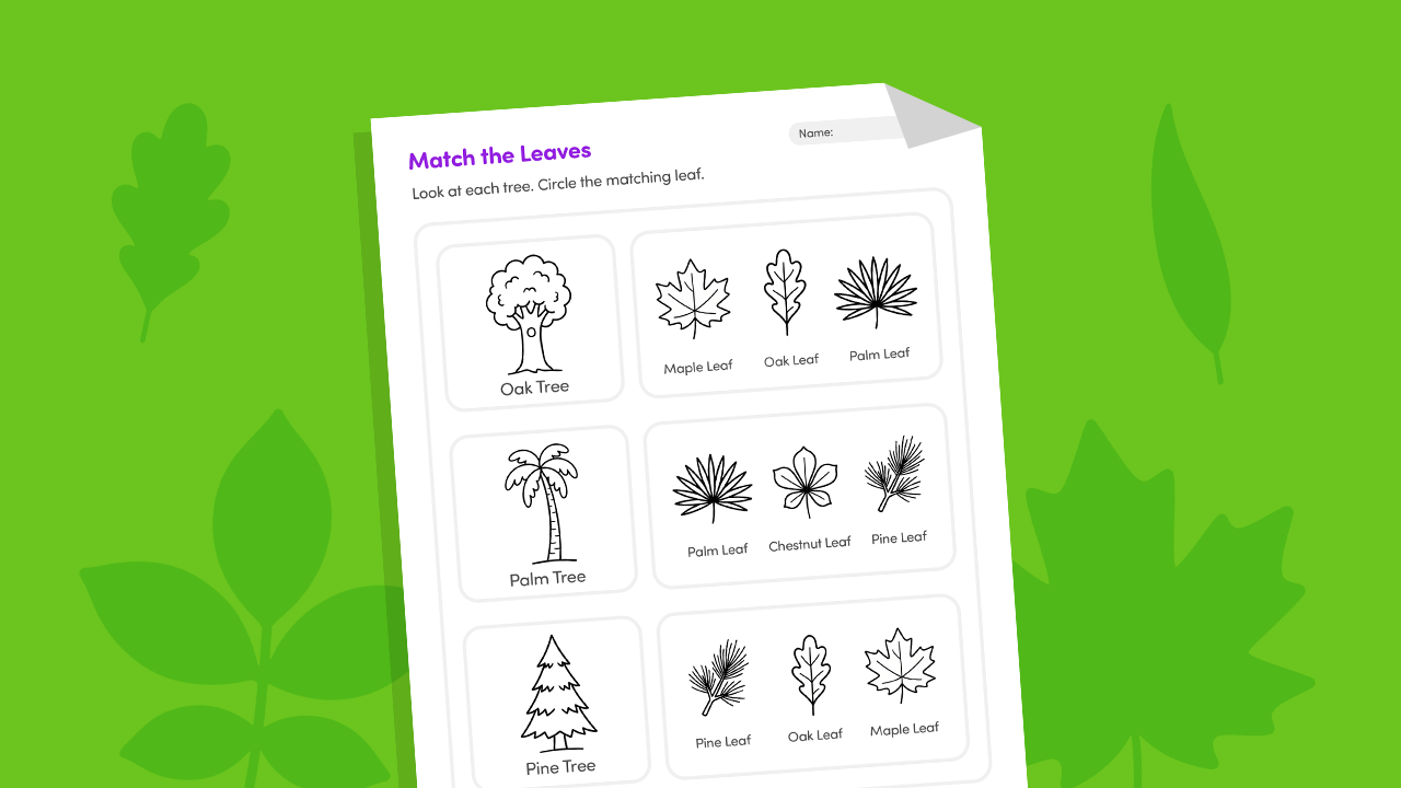 Tree and leaf picture matching science worksheet for Pre-KG and Kindergarten children.