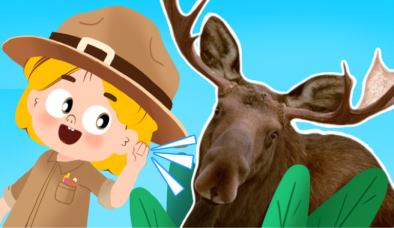 Animals in forests, oceans and deserts featured in an animal habitats song for kids