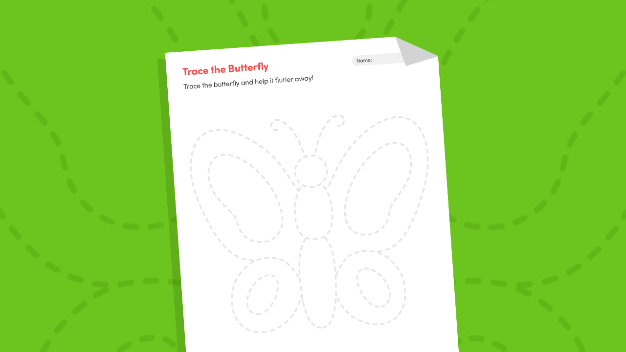 Trace Butterfly Wings – Symmetry Lines